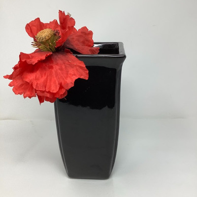 210 Jungle Kitchen Collection