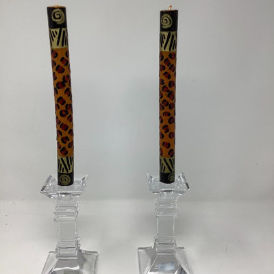 210 Jungle Kitchen Collection