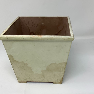 225 Olive Kitchen Decor