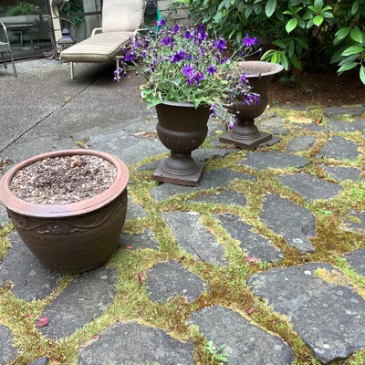 243 Three Garden Planters