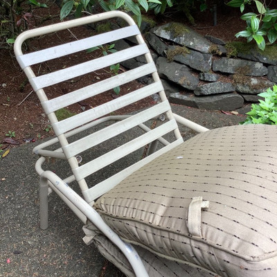 247 Lounge Chair and Potted Plant