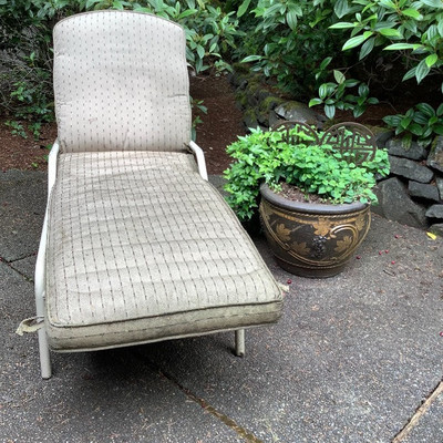 247 Lounge Chair and Potted Plant
