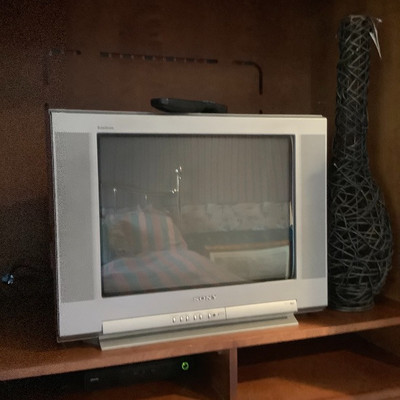 252 Bedroom TV Cabinet and Armoire Includes TV  