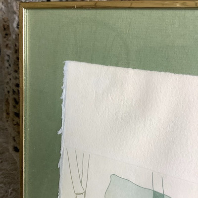 258 â€œElephant Chameleonâ€ by Charlotte Rene Signed and Numbered 116/720