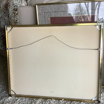 258 â€œElephant Chameleonâ€ by Charlotte Rene Signed and Numbered 116/720