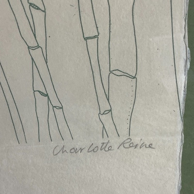 258 â€œElephant Chameleonâ€ by Charlotte Rene Signed and Numbered 116/720