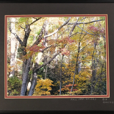 Lot 16 - Gorgeous Local Framed Photography 