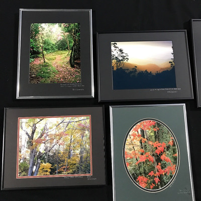 Lot 16 - Gorgeous Local Framed Photography 