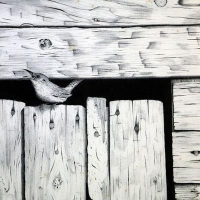 Dennet Woodland Bird Lithograph Print in Frame - A-028
