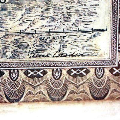 Tina Chaden Global Safari MAP Print in Frame - Nice Wall Decor Piece - A-027