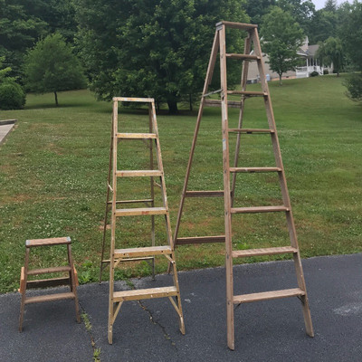 Lot 40 - Three Ladders