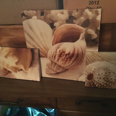 Set of three shell wall canvases