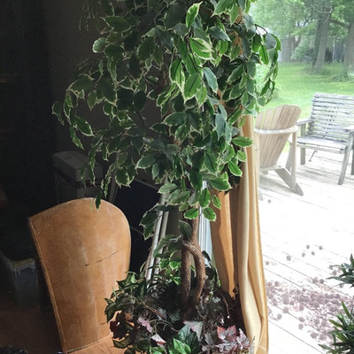 FABRIC INDOOR TREE