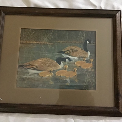 GLASS FRAMED CANADA GOOSE WITH BABIES ART