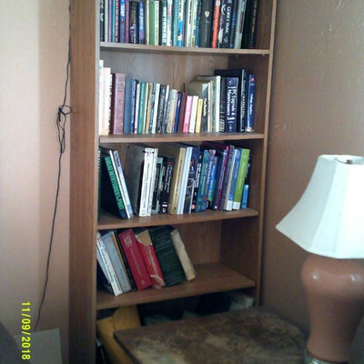Book Shelves - 2