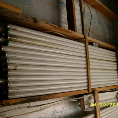 Florescent bulbs - 8'