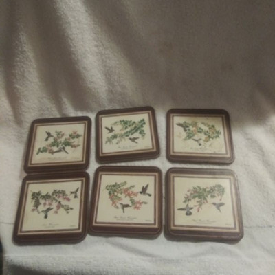 Set of 6 hummingbird coasters 
