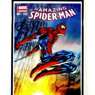 AMAZING SPIDER-MAN #1 Variant Original Comic Art Print Signed by Neal Adams