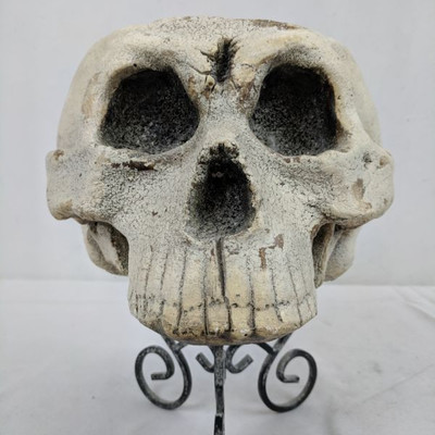 Skull Decoration, 10