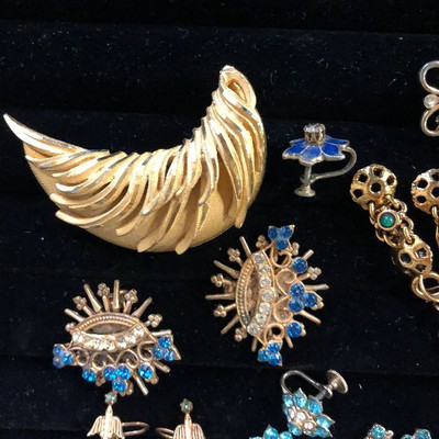Lot 194 Costume jewelry lot - Bracelet, pins, earrings