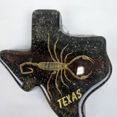 Texas Scorpion Figure
