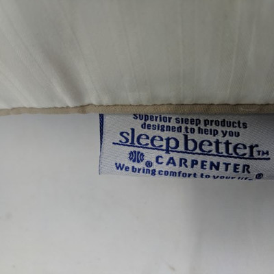 Sleep Better Carpenter Standard Pillow