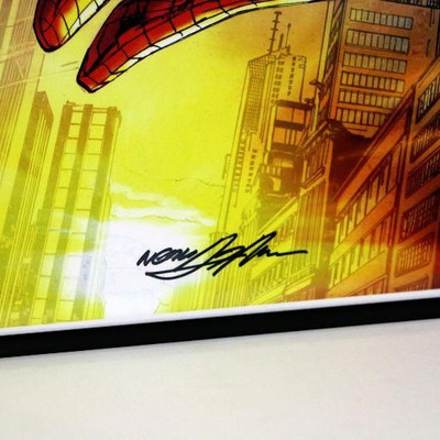 AMAZING SPIDER-MAN #1 Variant Original Comic Art Print Signed by Neal Adams