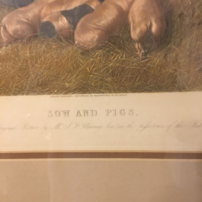 Antique original hand colored engraving John Frederick Herring the Elder, Sow and Pigs