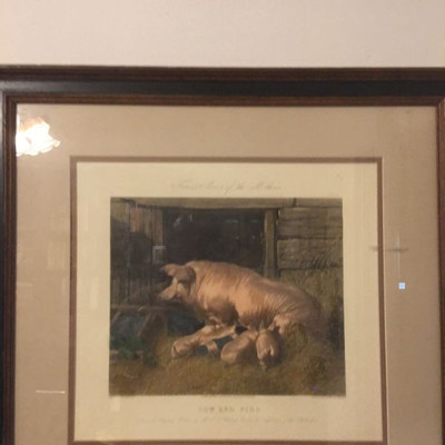 Antique original hand colored engraving John Frederick Herring the Elder, Sow and Pigs
