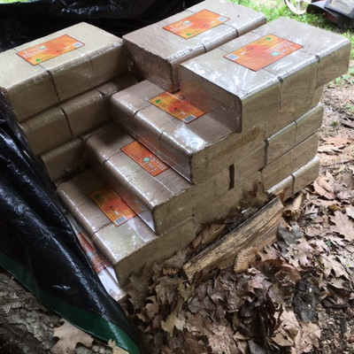 Lot of Wood Bricks 