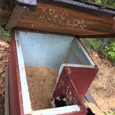Custom Made Insulated Dog House