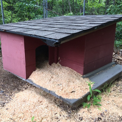 Custom Made Insulated Dog House