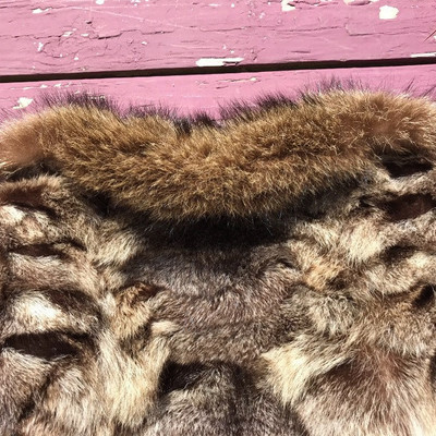 Beautiful Fur Coat May Be Chinchilla Fur