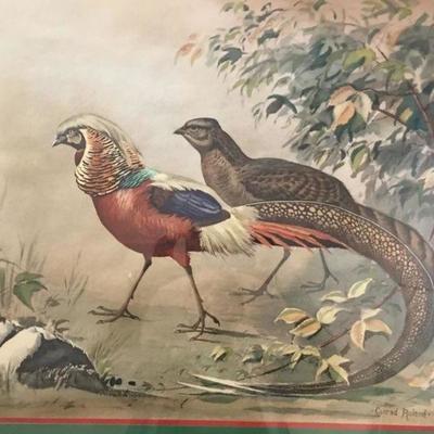Vintage Large Framed Signed Watercolor of 2 Pheasants by Conrad Roland