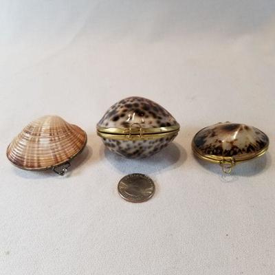 Trio of Shell Coin Purses