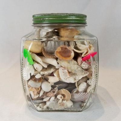Vintage Kitchen Jar Full of Sea Shells