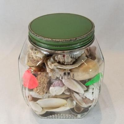 Vintage Kitchen Jar Full of Sea Shells
