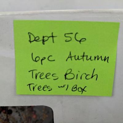 Department 56 Decor 6 pc Autumn Trees Birch Trees with Box
