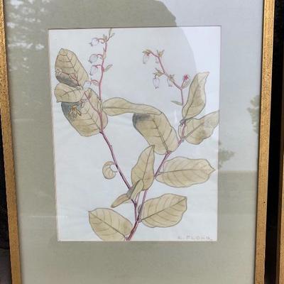 Set Of 3 Botanical Framed Prints