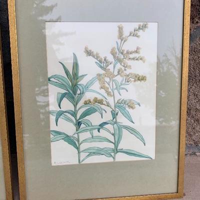 Set Of 3 Botanical Framed Prints