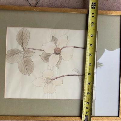 Set Of 3 Botanical Framed Prints