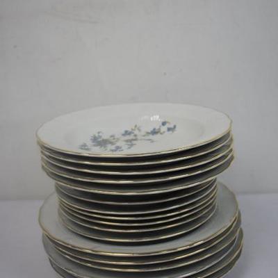 Royal Tognana Blue Flower Glass: 5 Bowls, 12 Plates