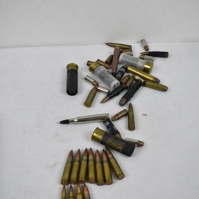 Doskocil Pistol Case & Various Bullets