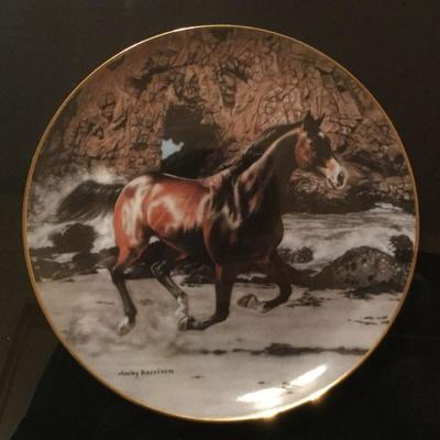 Framed Danbury Mint Free Spirits Beachcomber and Surfbreaker  Horse Ltd Ed Plate Each Number A743