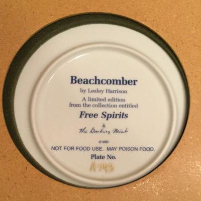 Framed Danbury Mint Free Spirits Beachcomber and Surfbreaker  Horse Ltd Ed Plate Each Number A743