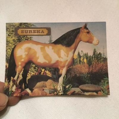 Breyer "Eureka" West Coast Model Horse Limited Edition of 1,500 Signed Sheryl August 1998