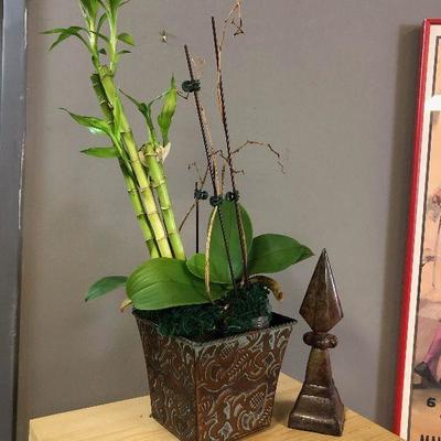 Lot #10 Bamboo plant and amaryllis plant