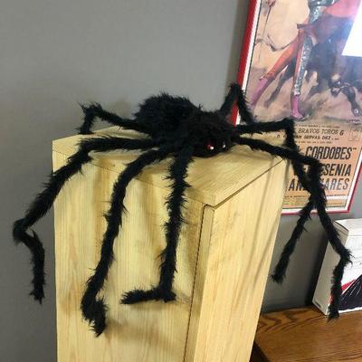 Lot #14 Large Black Harry Spider