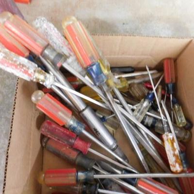 Large Box Full of Various Sized Screw Drivers Flat and Phillips Head
