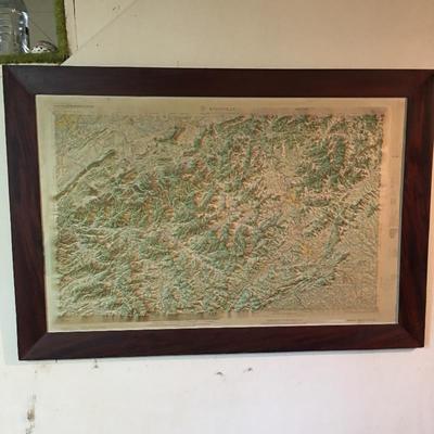 Lot 54 - Framed Knoxville Topographical Map